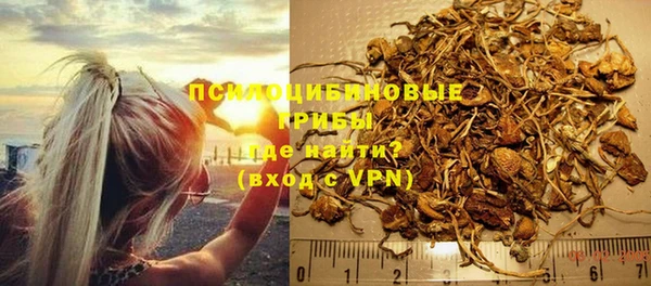 a pvp Дмитриев